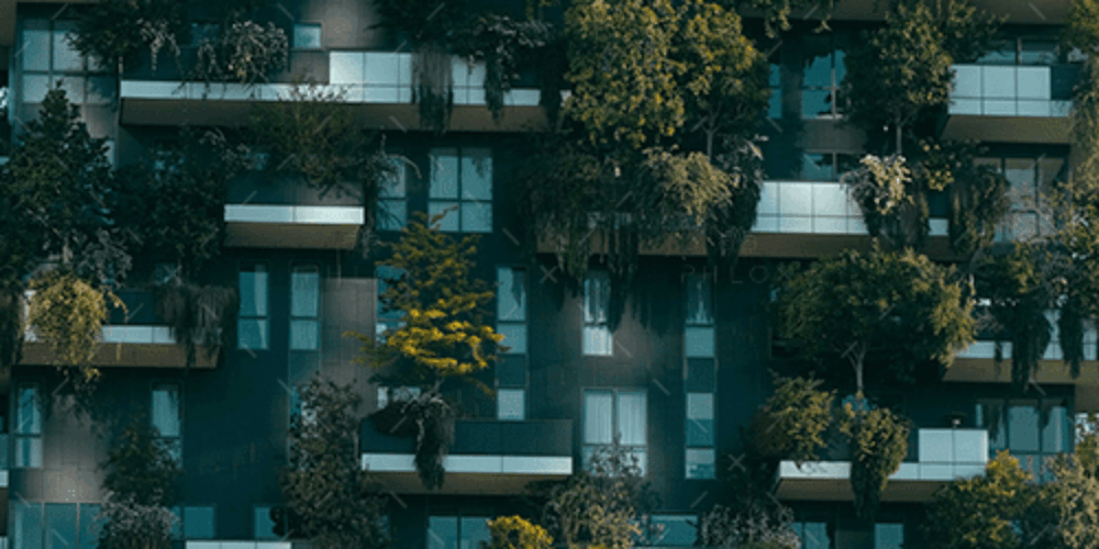 demo-attachment-2199-pexels-francesco-ungaro-4322027