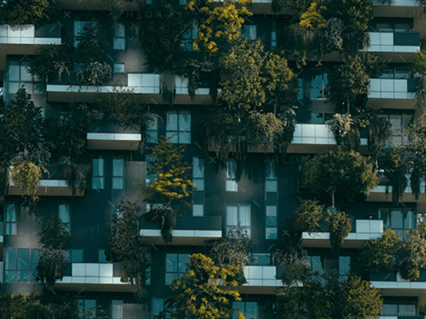 demo-attachment-2199-pexels-francesco-ungaro-4322027